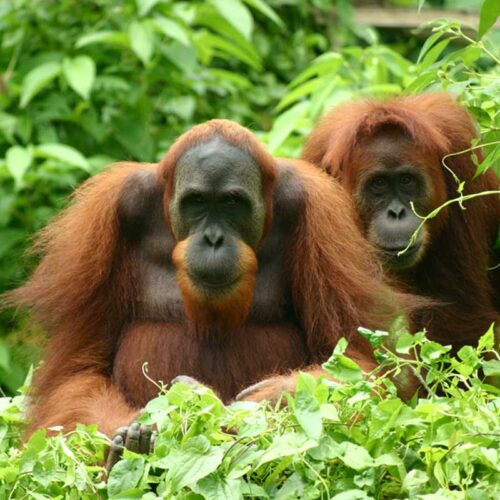 Eine Reise voller Kontraste