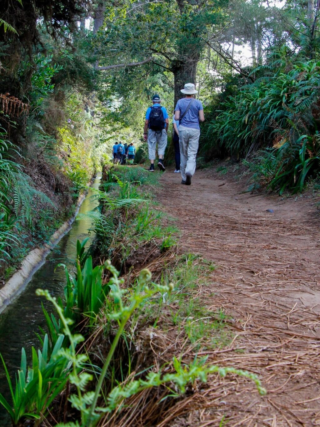 Personen, die entlang einer offenen Wasserleitung durch den Wald wandern